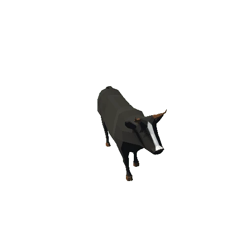 Cow Black